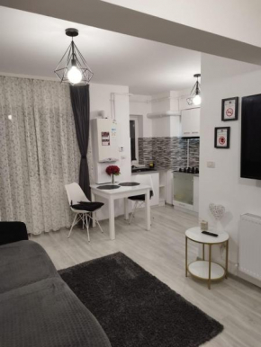 Dream Arena Apartment